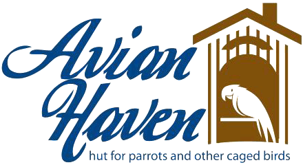 Avian Haven Hut