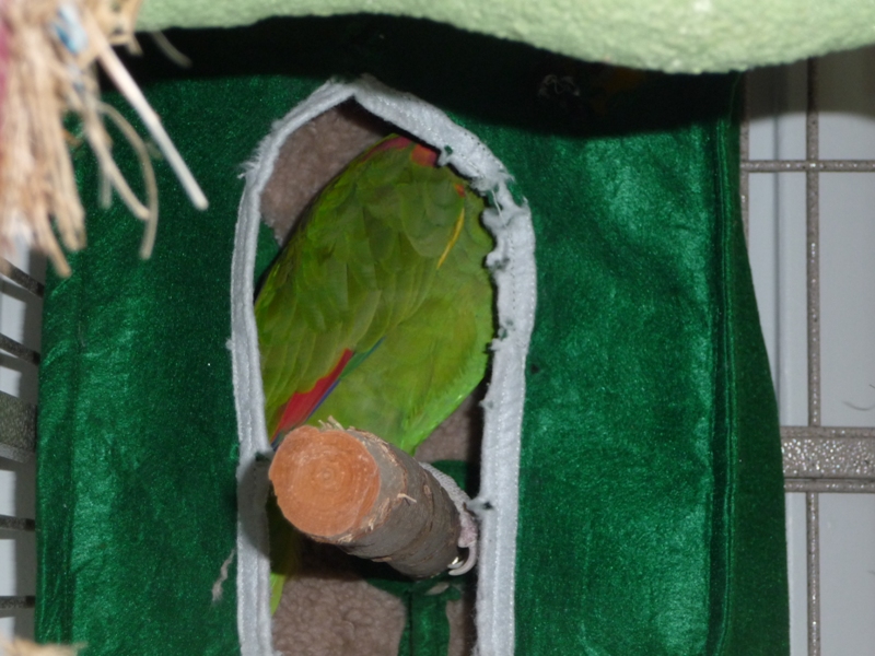 Anian Haven Hut